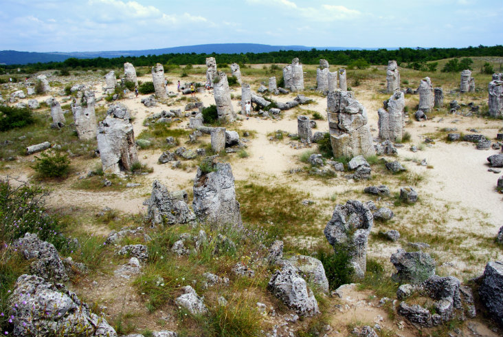 Kamienny Las Bułgaria